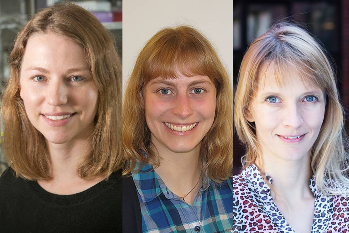 This year's Sloan Fellows (L-R): Emily Derbyshire, Jessica Fintzen, Eva Naumann.