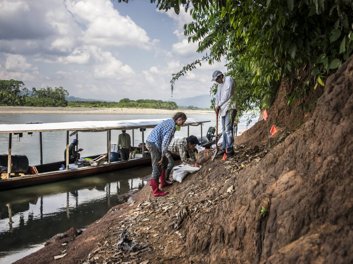 These fossil-rich sediments along the Alto Madre de Dios River in southern Peru have yielded hundreds of fossil teeth and bones, clues to what life in the Amazon was like 18 million years ago. Photo by Wout Salenbien, PhD, Duke University.
