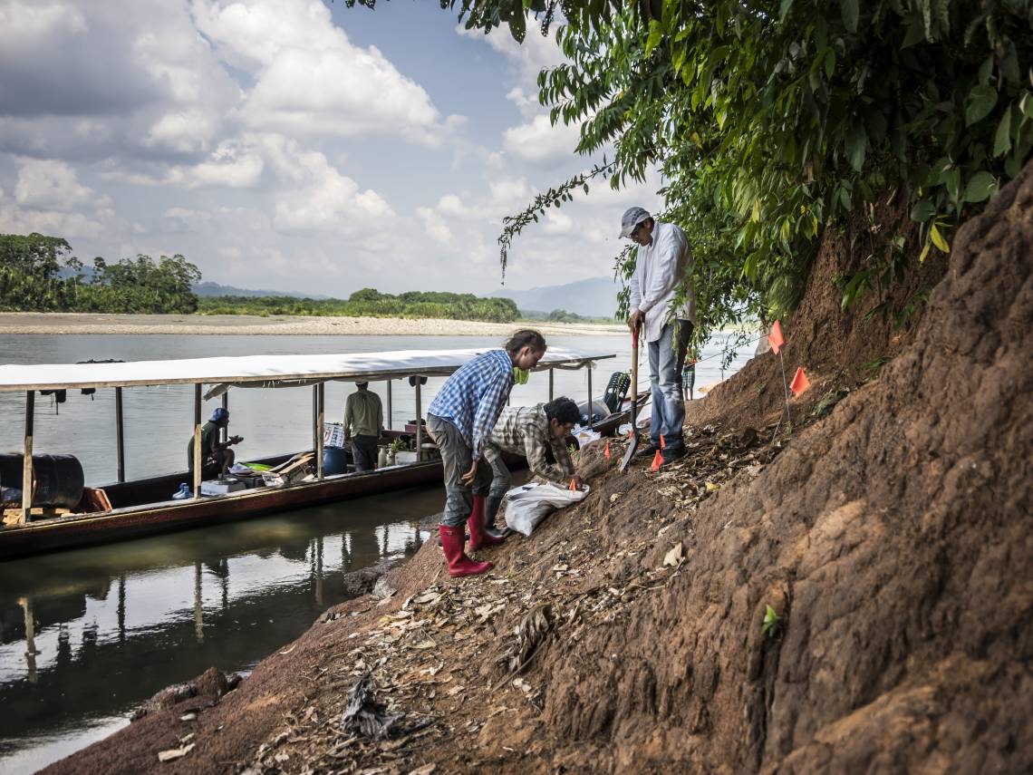 These fossil-rich sediments along the Alto Madre de Dios River in southern Peru have yielded hundreds of fossil teeth and bones, clues to what life in the Amazon was like 18 million years ago. Photo by Wout Salenbien, PhD, Duke University. 