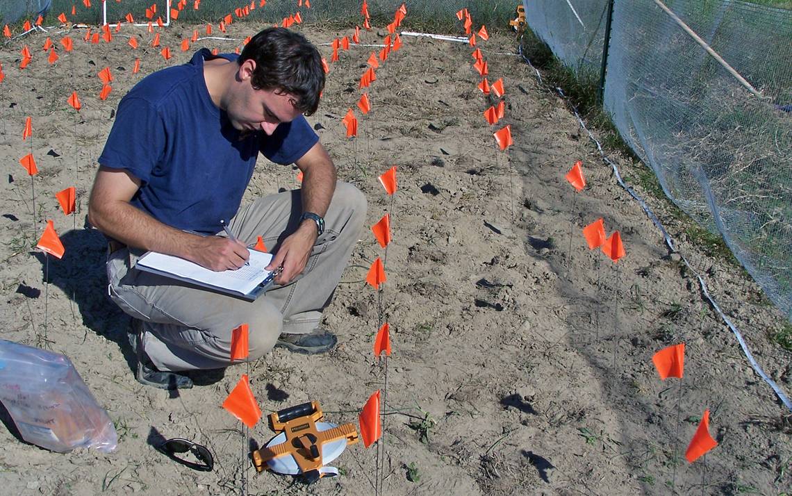 Justin Wright, associate professor of biology at Duke, works on a study which is a collaboration with researchers from Syracuse University. Photo courtesy of Justin Wright.