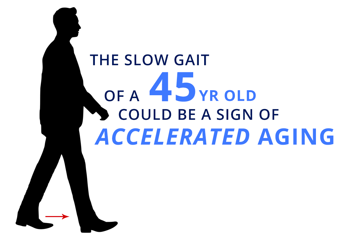 A long-term study has found that signs of aging may be detected by a simple walking test at age 45, and that the brains of slower walkers were different at age 3. 