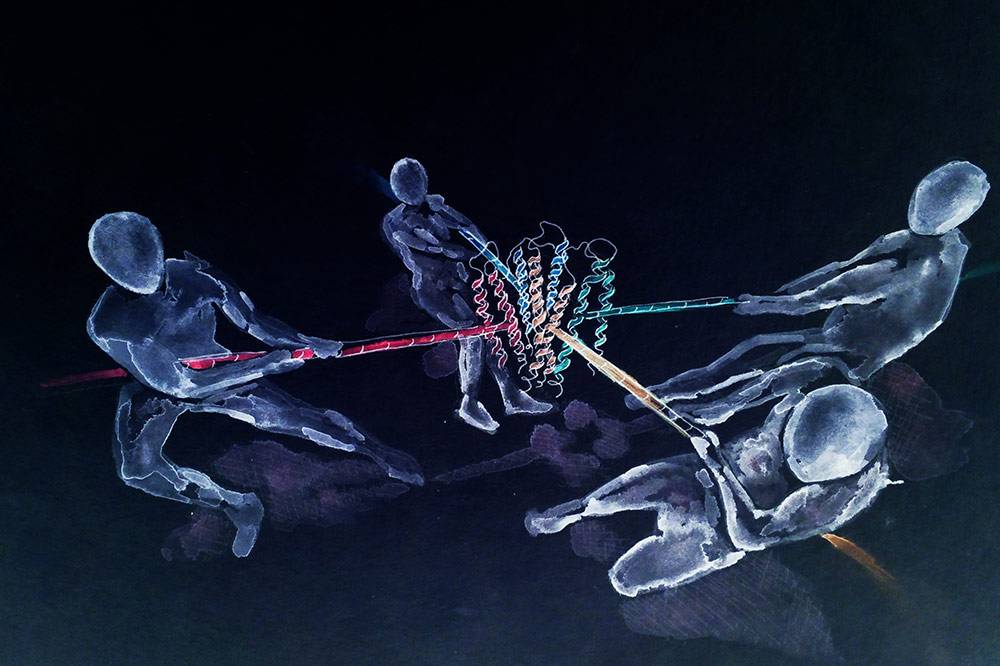This artistic interpretation shows people tugging on a mysterious force-sensing receptor called Piezo1, which Duke researchers have found a new approach to study its functions. Credit: Jason Wu.