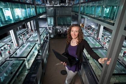 Sheila Patek photographed at her lab filled with mantis shrimp in the Biological Sciences building. Photo by Jon Gardiner/Duke University Photography