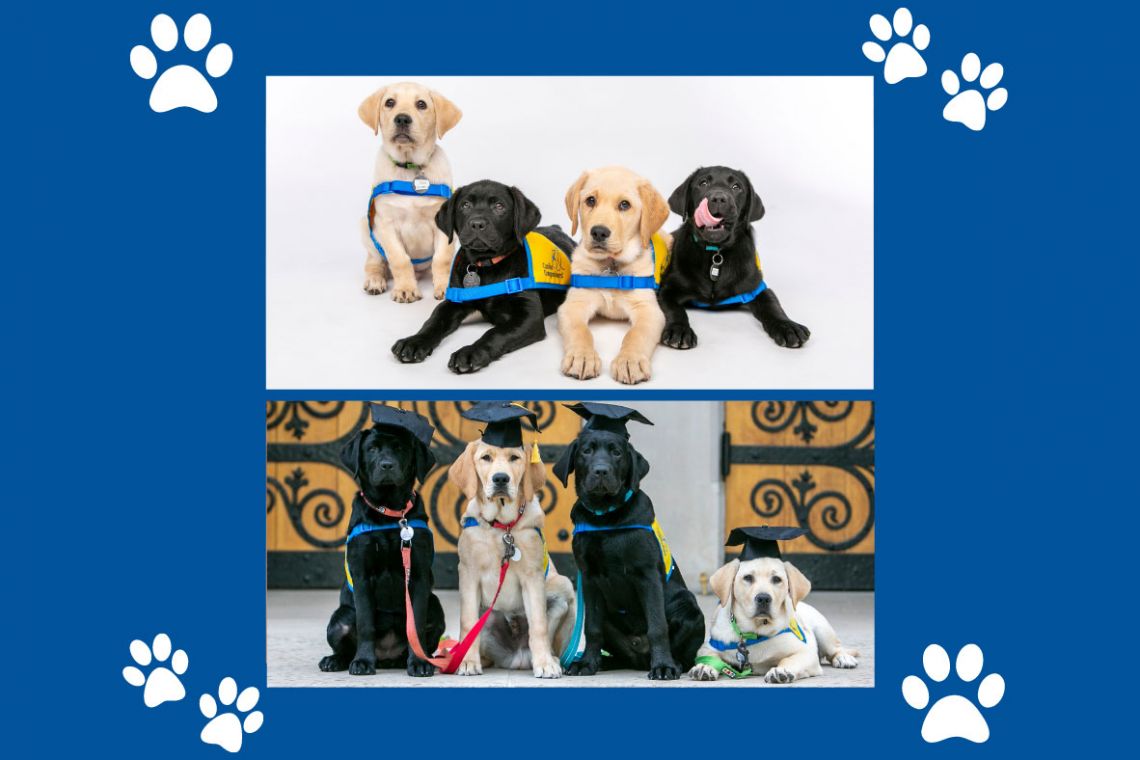 The Duke Puppy Kindergarten's spring 2022 class