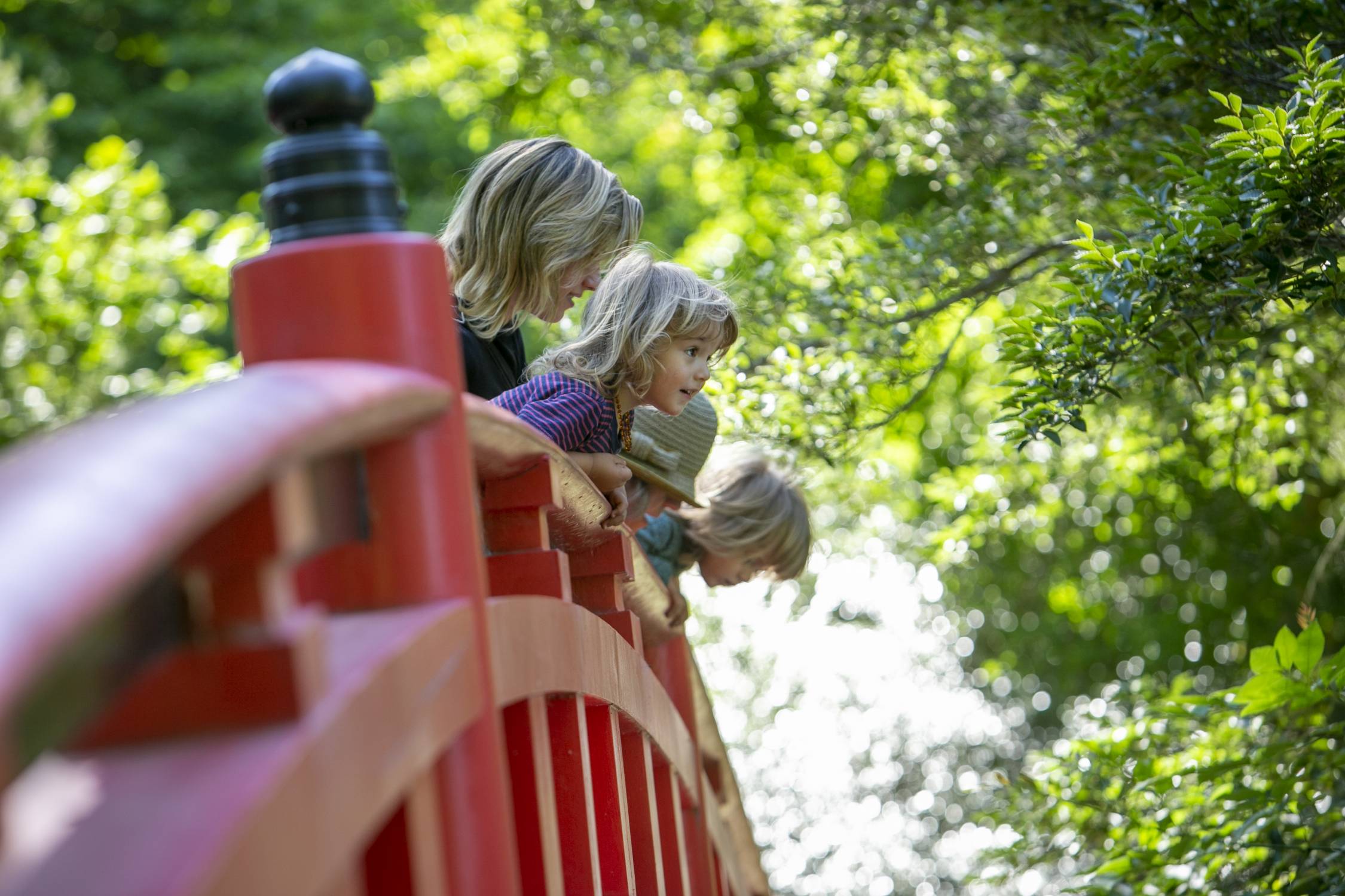 Rowland Kauffman-Eggers, 2, enjoys a view of the lake from the Meyer Bridge, with mom Stephanie Kauffman, in the Sarah P. Duke Gardens on June 1st, 2021. 
