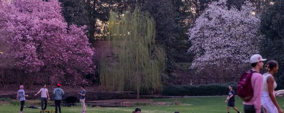 Students and community members relax in Duke Gardens surrounded by a blast of new spring color. Photo by Jared Lazarus