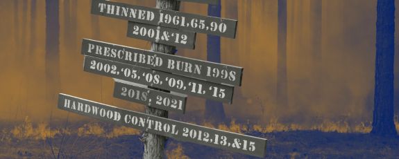 A stylized photo of a historical sign with fire in the backgorund