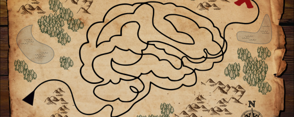 A map with a line drawing of a brain