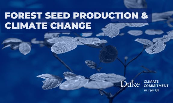 Forest Seed Production & Climate Change thumbnail