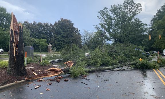 Downed tree across Cameron Boulevard near the Washington Duke Inn.
