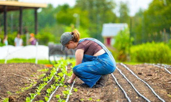 Duke student at the Campus Farm. The Farm Bill is much more than support for farmers; it’s also an important source of funding for research, food security and fighting climate change.