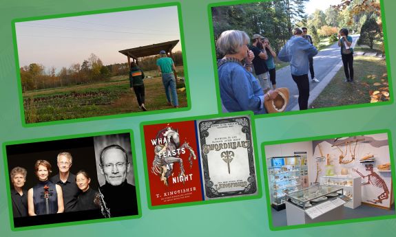 A collage of photos