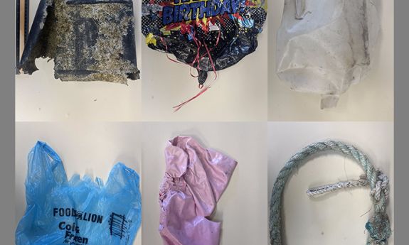 Typical plastic beach trash that was collected and used in an acoustic study: jugs, balloons, bag and rope