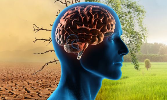 Graphic of a person and the brain being impacted by climate