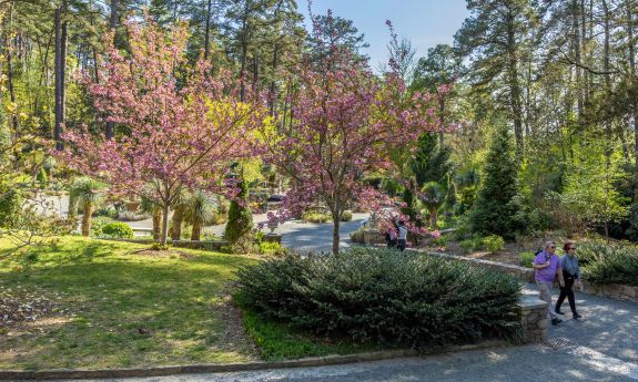 People walking in Duke Gardens
