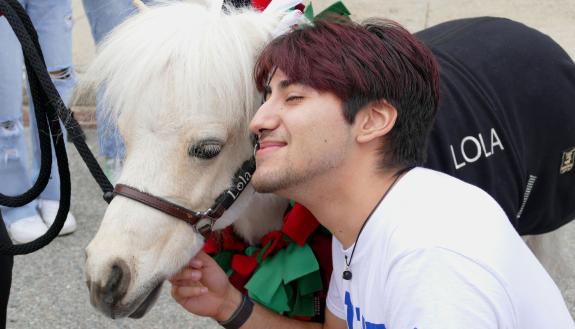 Duke student hugs a miniature therapy horse from Stampede of Love outside of Lilly Library during a study break.