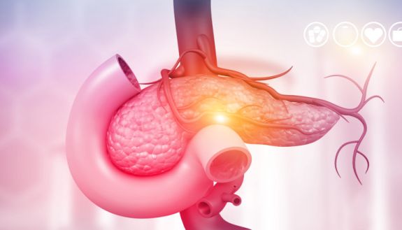 stock illustration of the pancreas