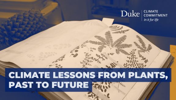 Climate lessons from plants, past to future video thumbnail