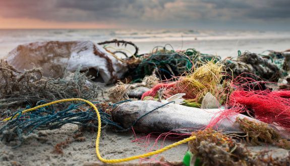 plastic pollution on the beach