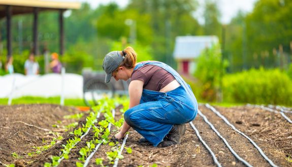 Duke student at the Campus Farm. The Farm Bill is much more than support for farmers; it’s also an important source of funding for research, food security and fighting climate change.