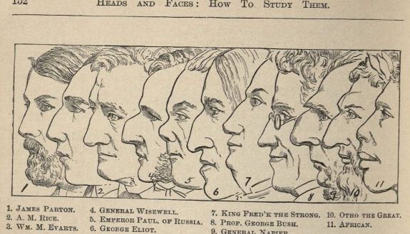 Facial profiles from Heads and Faces, and How to Study Them, a Manual of Phrenology and Physiognomy for the People, 1887.