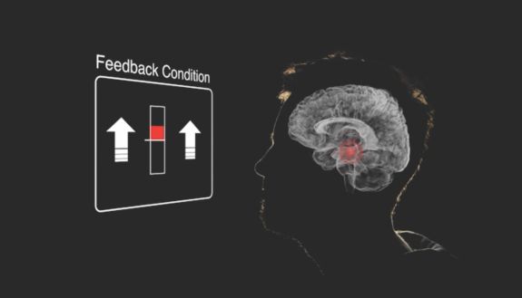 Participants generate motivating thoughts and imagery while watching a readout of brain activity from their own ventral tegmental area (shown in red), a region involved in reward and motivation.