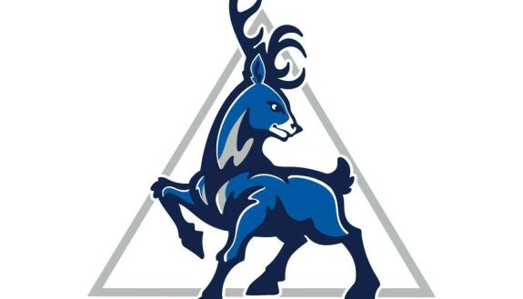 new DKU deer mascot
