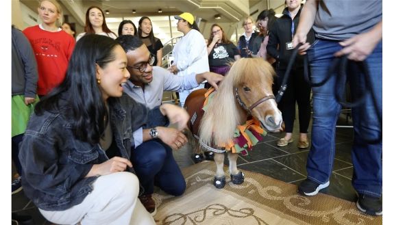 Students petting a mini horse