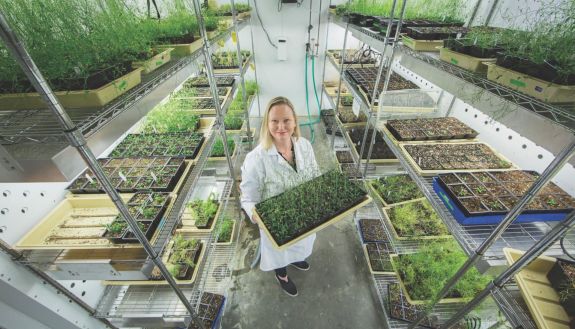 lucia Strader in her lab