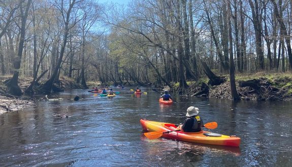 People kayaking on a river