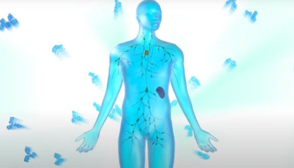 Graphic of a person with antibodies circling around