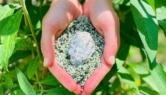 person holding fertilizer