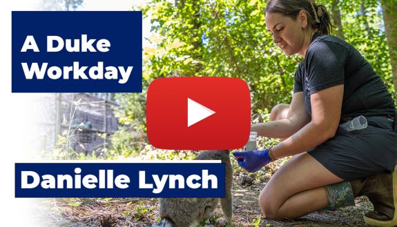A video thumbnail for a lemur video