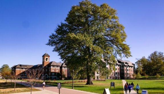 view of Duke's west campus