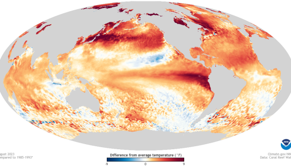An ovoid map of the entire earth, showing continents as gray and varying ocean temperatures in blue to red scale.