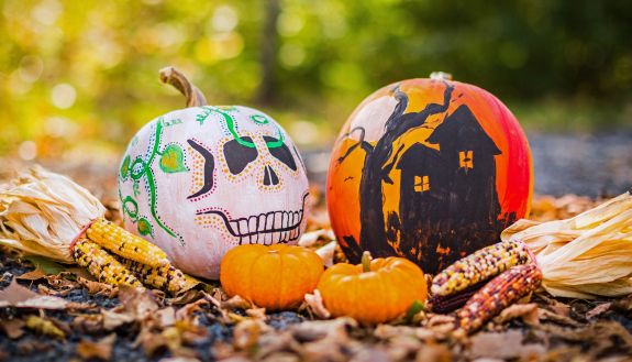 Two pumpkins are painted in Halloween and Day of the Dead motifs, sitting in an autumn setting that includes corn cobs and fallen leaves.
