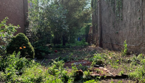 A forest clearing