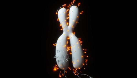 graphic of lights circling around a model of a gene