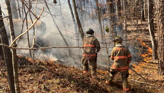 Fire near Al Buehler Trail