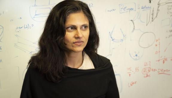 Nimmi Ramanujam