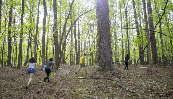 Biology Class in the Duke Forest.