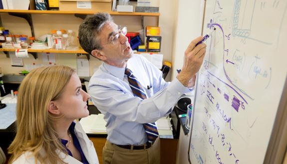 Robert Lefkowitz was famous for his mentoring long before he shared a Nobel Prize with a mentee. (Duke Photo)