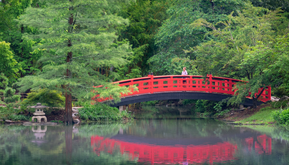 The Meyer Bridge in the Asiatic Arboretum.