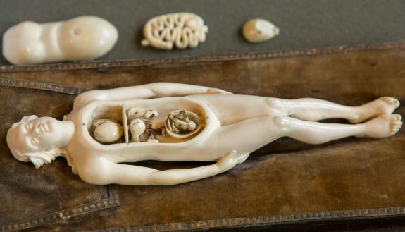 This 300-plus-year-old ivory figurine from the History of Medicine collections was among the dozens of original artifacts and rare books on display at Duke’s annual “Anatomy Day” in the Gothic Reading Room. Photo by Jared Lazarus, Duke University.