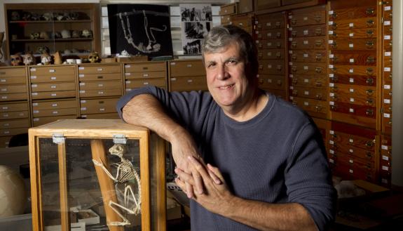 Dr. Gregg F. Gunnell, Director, Division of Fossil Primates, Duke Lemur Center. Photo taken in 2011 by Duke University Photography.
