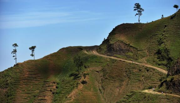 Laurent DuBois on reforesting Haiti