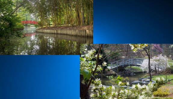The arching bridge in Sarah P. Duke Gardens when it was painted white, left, and red, right. Photo courtesy of Sarah P. Duke Gardens.