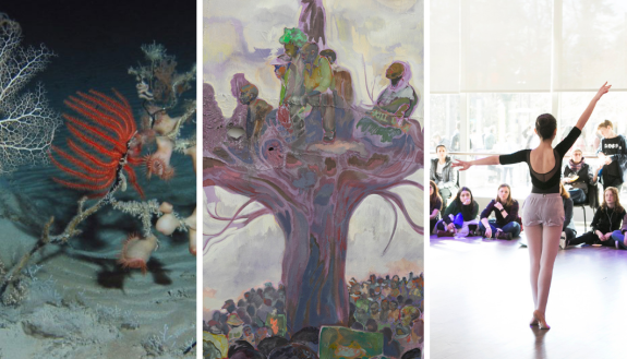 Sonke Johnsen's deep sea photography; Art from the Nasher Museum exhibit "People Get Ready;" Dancers at the opening gala for the Rubenstein Arts Center.