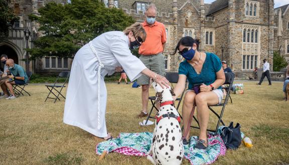 A dalmation gets blessed at the Blessing of the animals