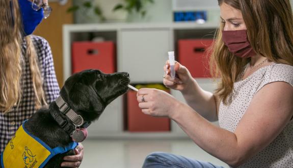 students test puppies in the Duke Puppy Kindergarten